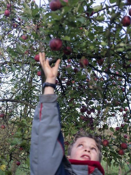 03 -11- 2013- chez Henri